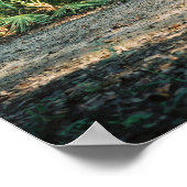 Florida Panther in forest Poster (Hoek)