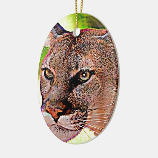 Florida Panther Keramisch Ornament (Links)