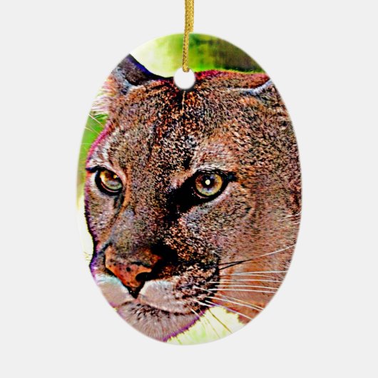Florida Panther Keramisch Ornament (Voorkant)
