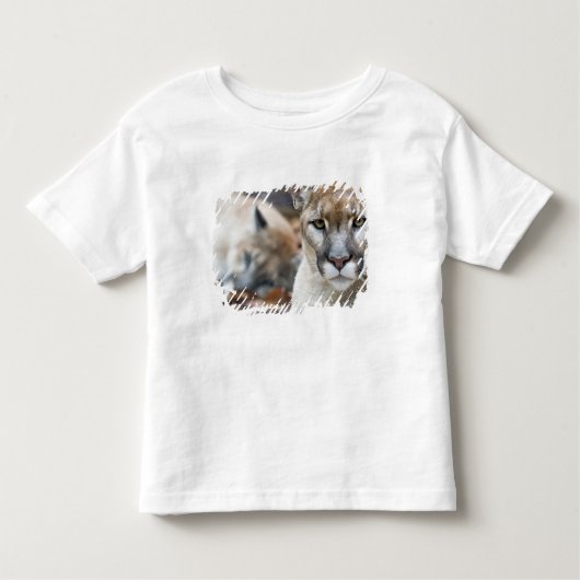 Florida Panther Kinder Shirts (Voorkant)