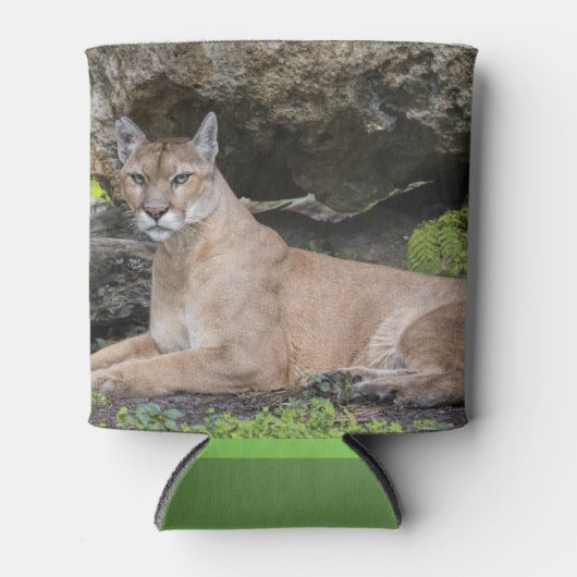 Florida Panther Koelbox Blikjeskoeler (Voorkant)