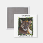 Florida Panther Magneet (Voorkant / Achterkant)