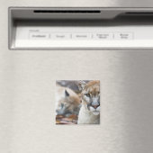 Florida Panther Magneet (Insitu (Vaatwasser))