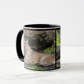 Florida Panther Mok (Voorkant links)