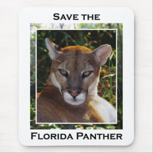 Florida Panther Muismat