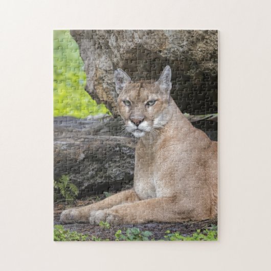 Florida Panther Puzzle Legpuzzel (Verticaal)
