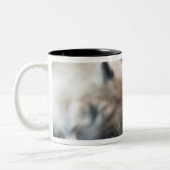 Florida Panther Tweekleurige Koffiemok (Links)