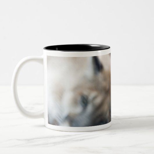 Florida Panther Tweekleurige Koffiemok (Links)