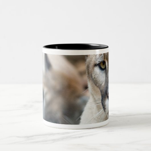 Florida Panther Tweekleurige Koffiemok (Center)