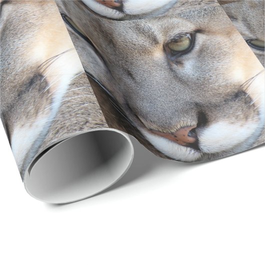 Florida Panther Wrapping Paper (4071) Cadeaupapier (Rol Hoek)