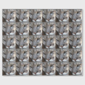 Florida Panther Wrapping Paper (4071) (grens) Cadeaupapier (Vlak)