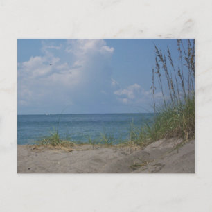 Florida Paradise Briefkaart