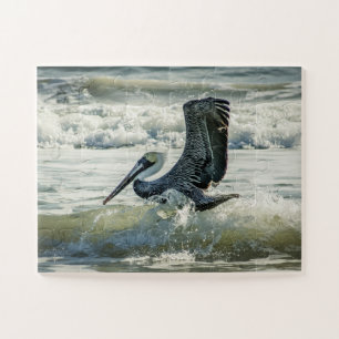 Florida Pelican Bird Natuur Beach Oversize Jigzaag Legpuzzel