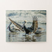 Florida Pelicans Birds Natuur Beach Oversize Legpuzzel (Horizontaal)