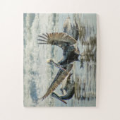 Florida Pelicans Birds Natuur Beach Oversize Legpuzzel (Verticaal)