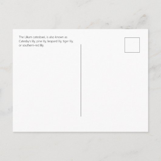 Florida Pine Lily Briefkaart (Achterkant)