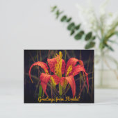 Florida Pine Lily Briefkaart (Staand voorkant)