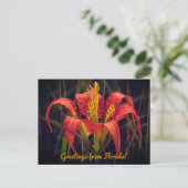 Florida Pine Lily Postcard Briefkaart (Staand voorkant)