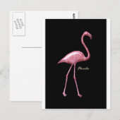 Florida Pink Flamingo Briefkaart (Voorkant / Achterkant)