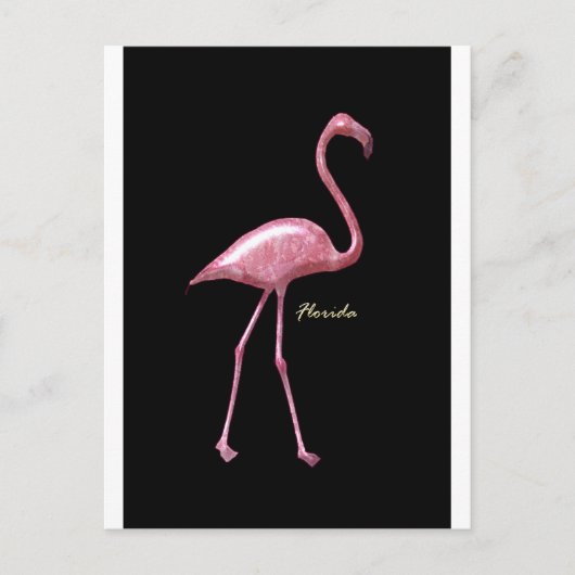 Florida Pink Flamingo Briefkaart (Voorkant)