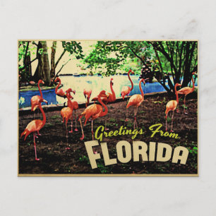 Florida Pink Flamingos Briefkaart