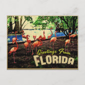 Florida Pink Flamingos Briefkaart (Voorkant)