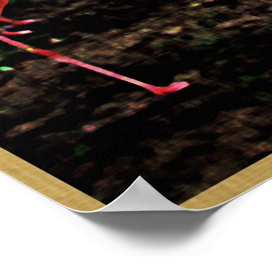 Florida Pink Flamingos Poster (Hoek)