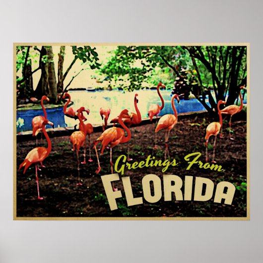 Florida Pink Flamingos Poster (Voorkant)