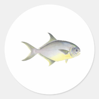 Florida Pompano Ronde Sticker