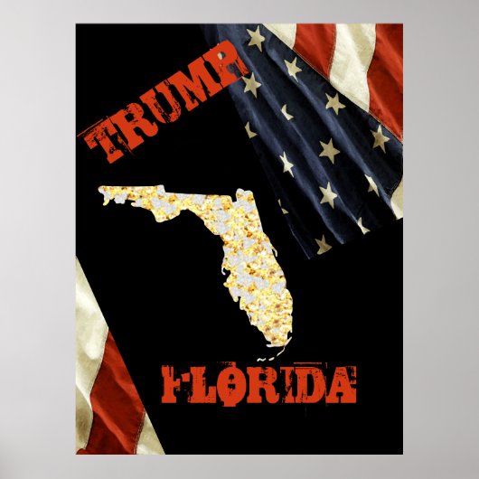 FLORIDA POSTER (Voorkant)