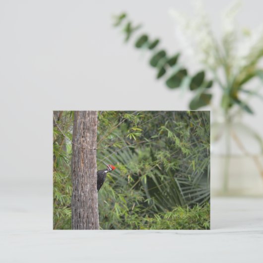 Florida Red Headed Pileated Woodpecker Profiel Briefkaart (Staand voorkant)