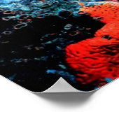 Florida Reef Poster (Hoek)