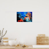 Florida Reef Poster (Keuken)