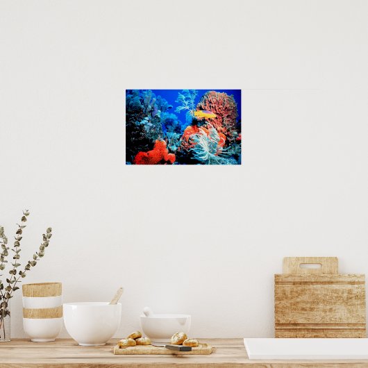 Florida Reef Poster (Keuken)
