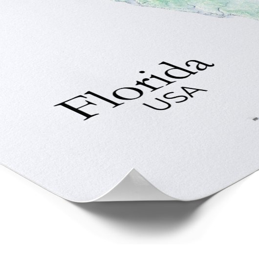 Florida Relief kaart groene textuur Poster (Hoek)