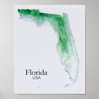Florida Relief kaart groene textuur Poster