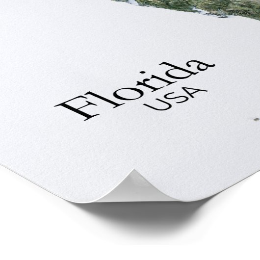 Florida Relief Kaart Natuur Textuur Poster (Hoek)