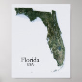 Florida Relief Kaart Natuur Textuur Poster (Voorkant)