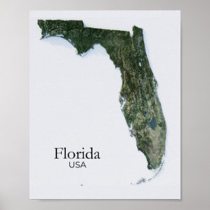 Florida Relief Kaart Natuur Textuur Poster