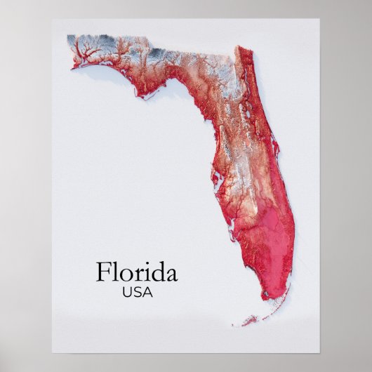 Florida Relief kaart Rode textuur Poster (Voorkant)