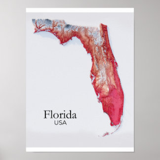 Florida reliëfkaart rode textuur poster