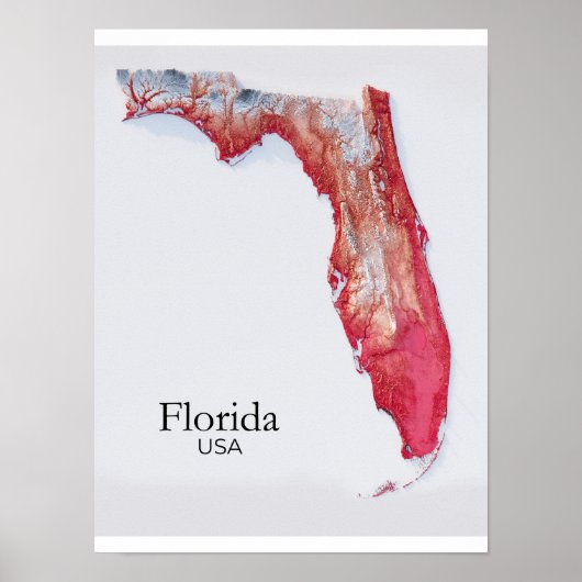 Florida reliëfkaart rode textuur poster (Voorkant)