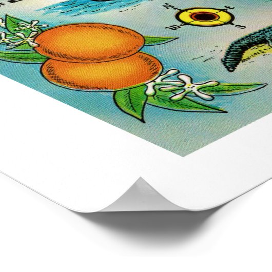 Florida Retro 12x16 Kaart Poster (Hoek)