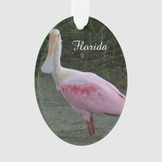 Florida Roseate Spoonbill kerstversiering Ornament (voorkant)