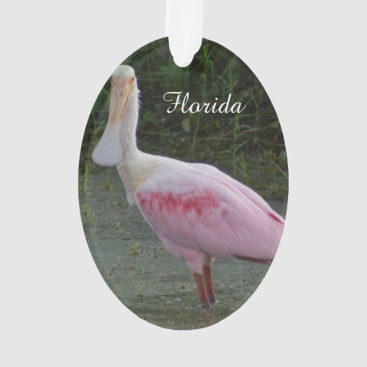 Florida Roseate Spoonbill kerstversiering Ornament (achterkant)