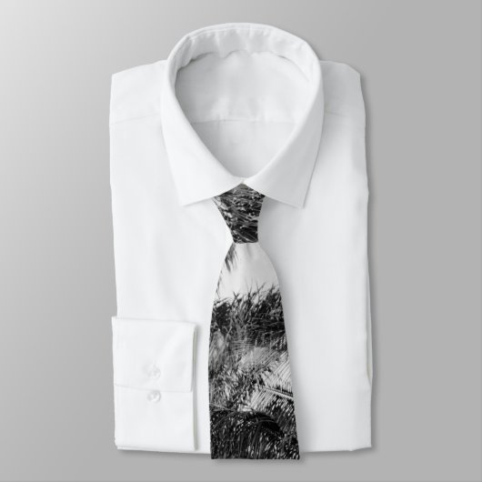 Florida Royal Palm Trees Black & White Photography Stropdas (Gebonden)