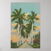 Florida Royal Palms Poster (Voorkant)