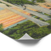 Florida Royal Palms Poster (Hoek)