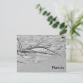 Florida Sand Briefkaart (Staand voorkant)