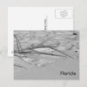 Florida Sand Briefkaart (Voorkant / Achterkant)